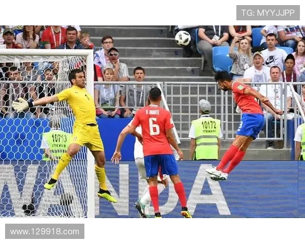 巴西电视台直播：精彩节目不容错过